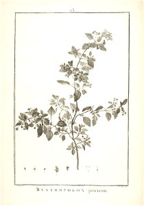 n38_w1150