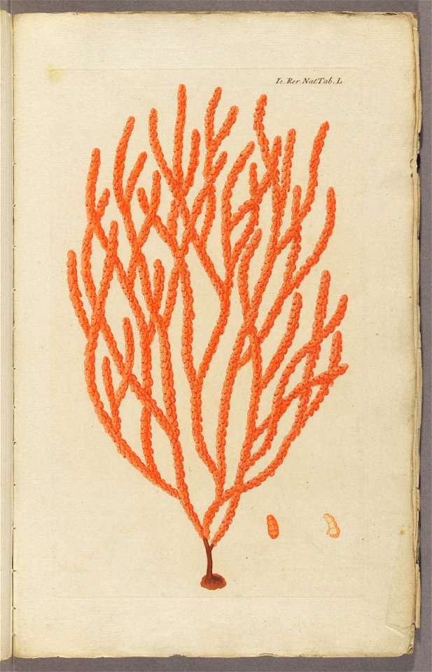 n136_w1150