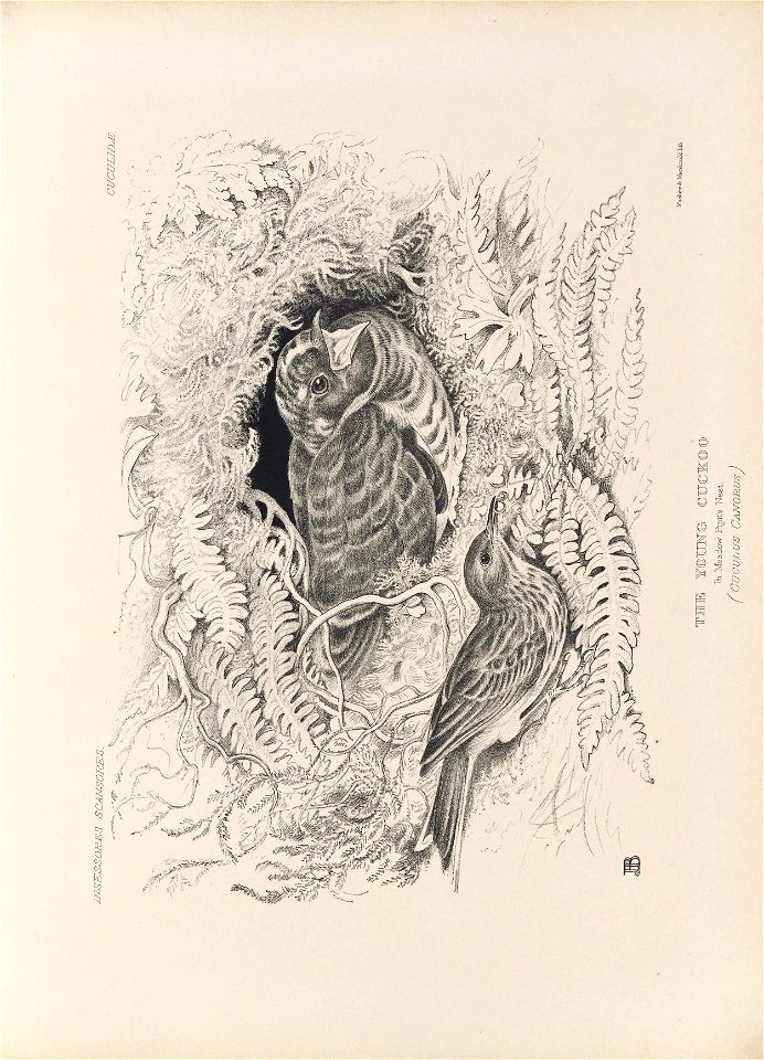 n142_w1150