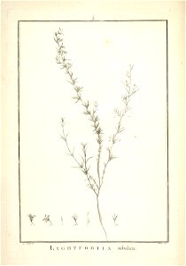 n9_w1150