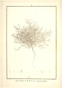 n8_w1150
