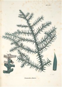 n192_w1150