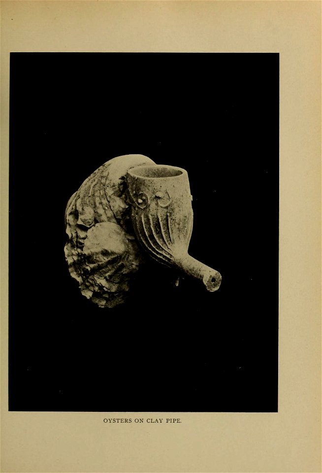 n146_w1150