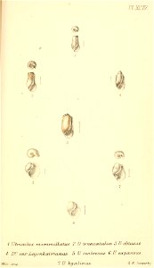 n476_w1150