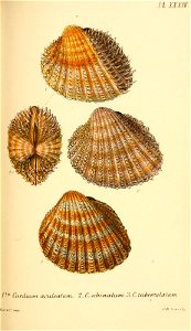 n356_w1150
