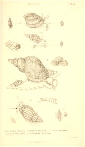 n508_w1150
