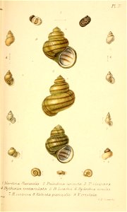 n296_w1150