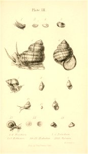 n468_w1150