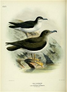 n671_w1150