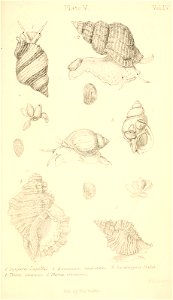 n506_w1150