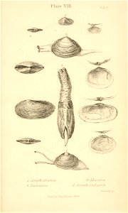 n502_w1150