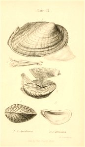 n466_w1150
