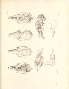n118_w1150