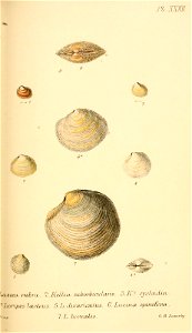 n352_w1150
