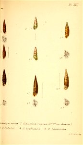 n322_w1150