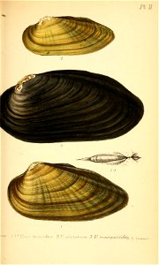 n292_w1150