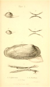 n464_w1150