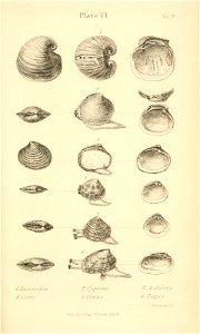 n498_w1150