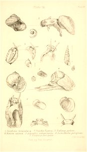 n502_w1150