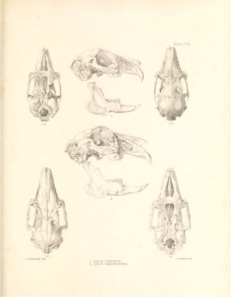 n112_w1150
