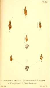 n468_w1150