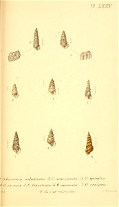 n438_w1150