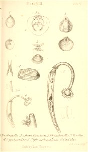 n288_w1150