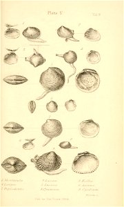 n496_w1150