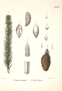 n167_w1150