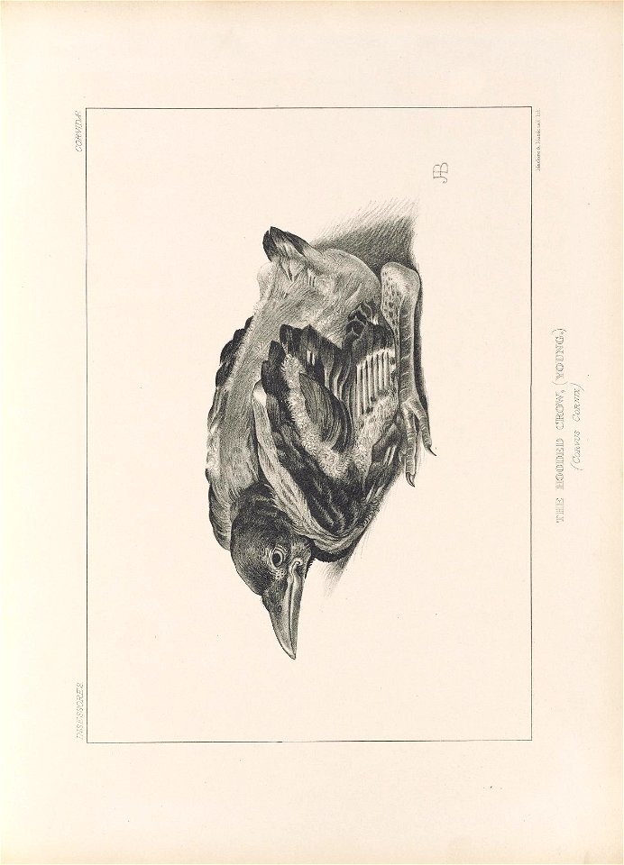 n146_w1150