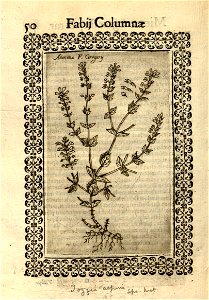 n491_w1150