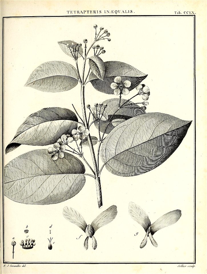n350_w1150