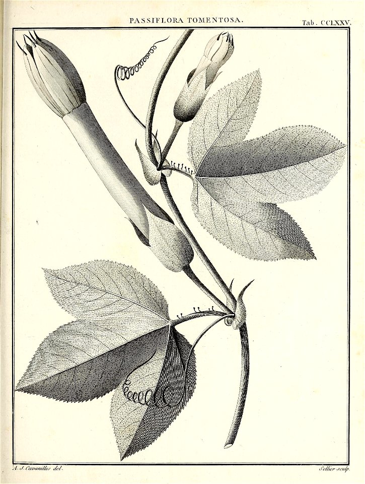 n408_w1150
