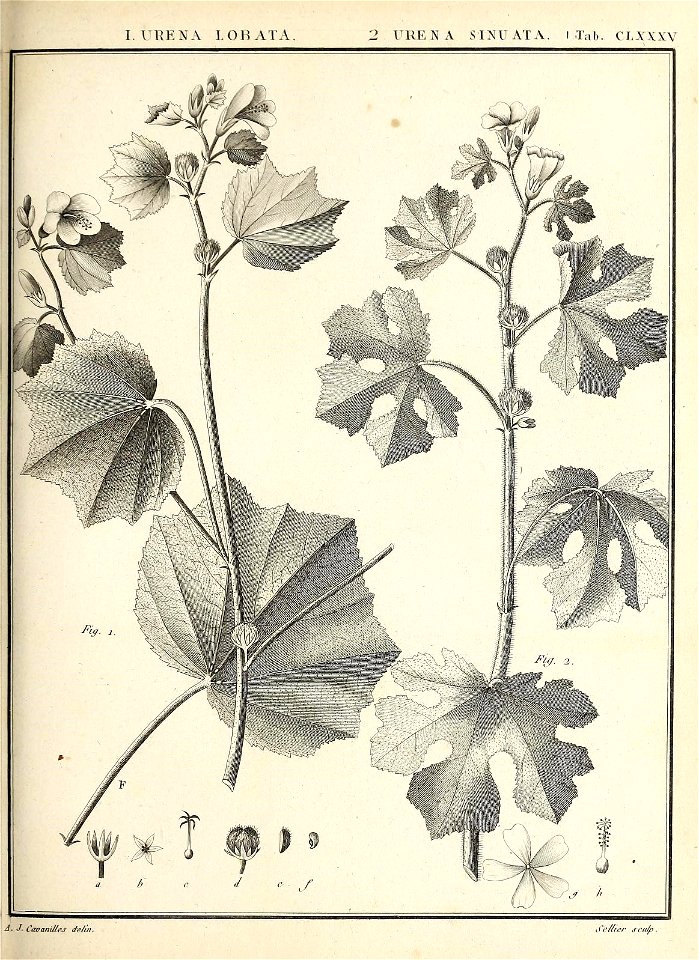 n112_w1150