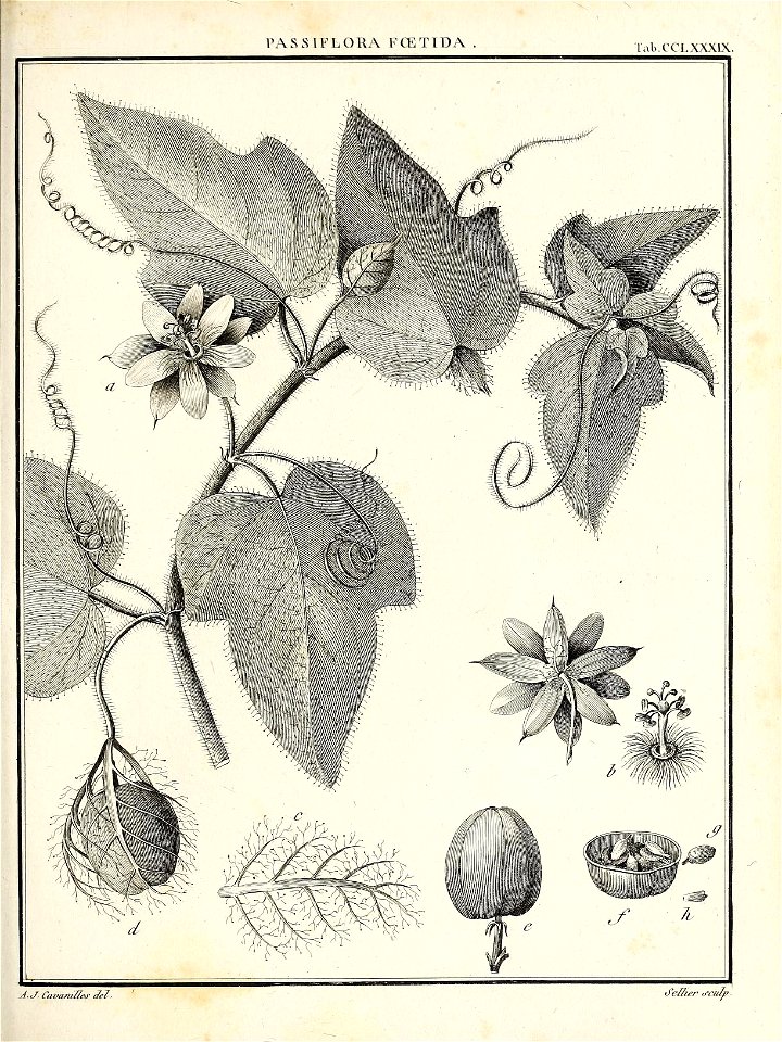 n436_w1150