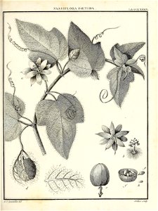 n436_w1150