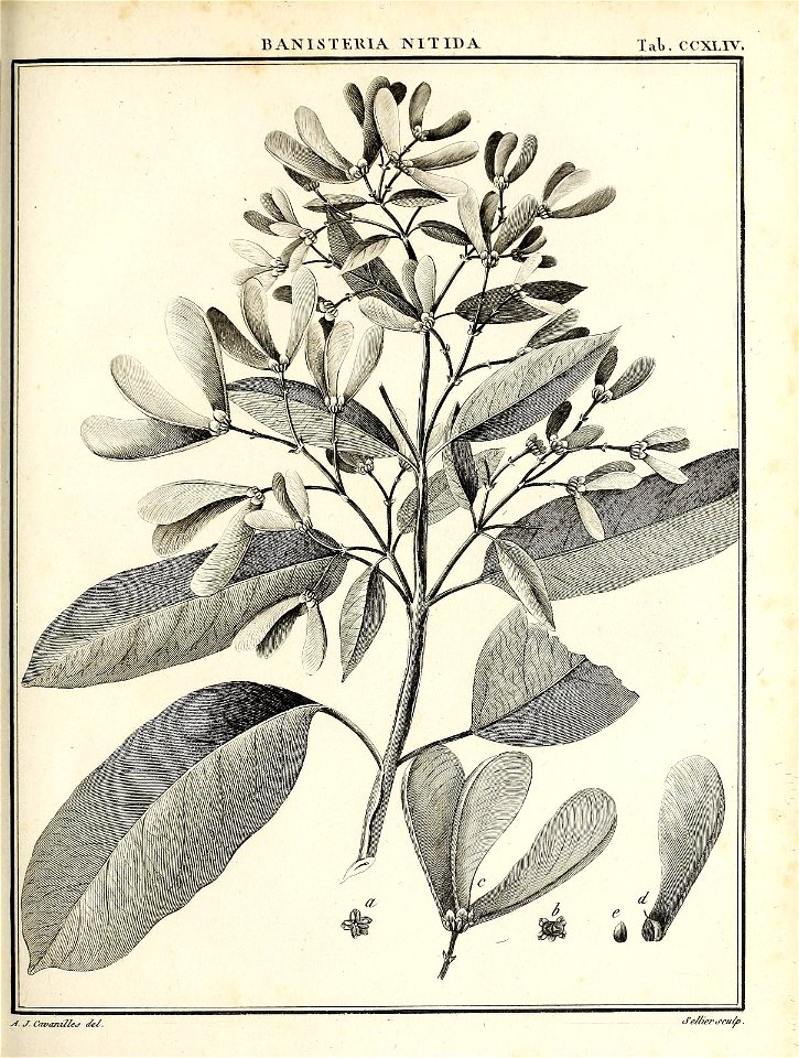n318_w1150