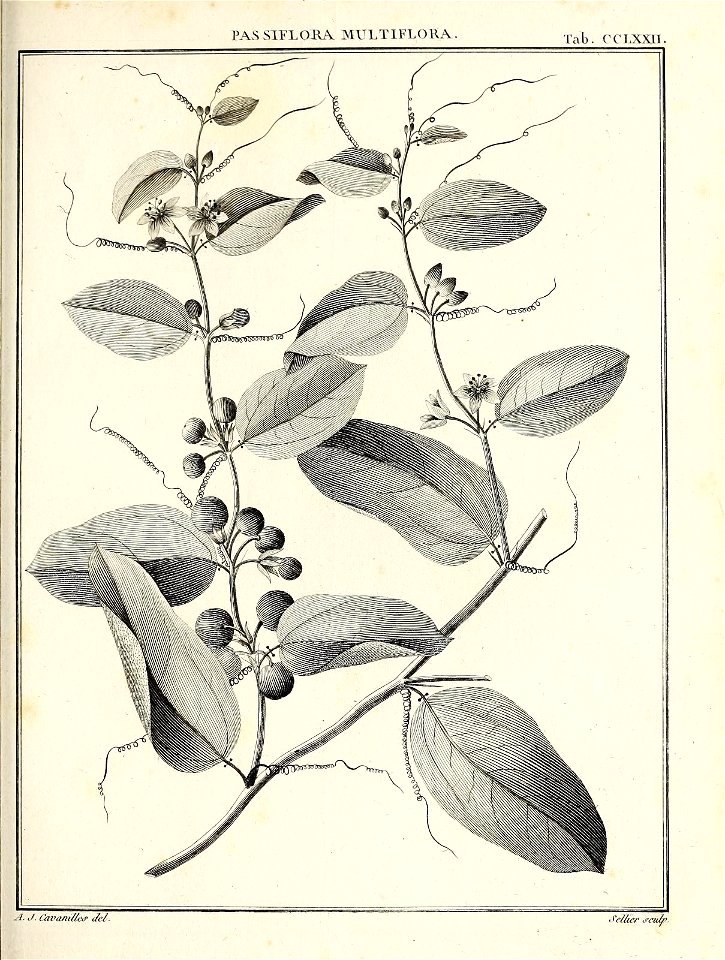 n402_w1150