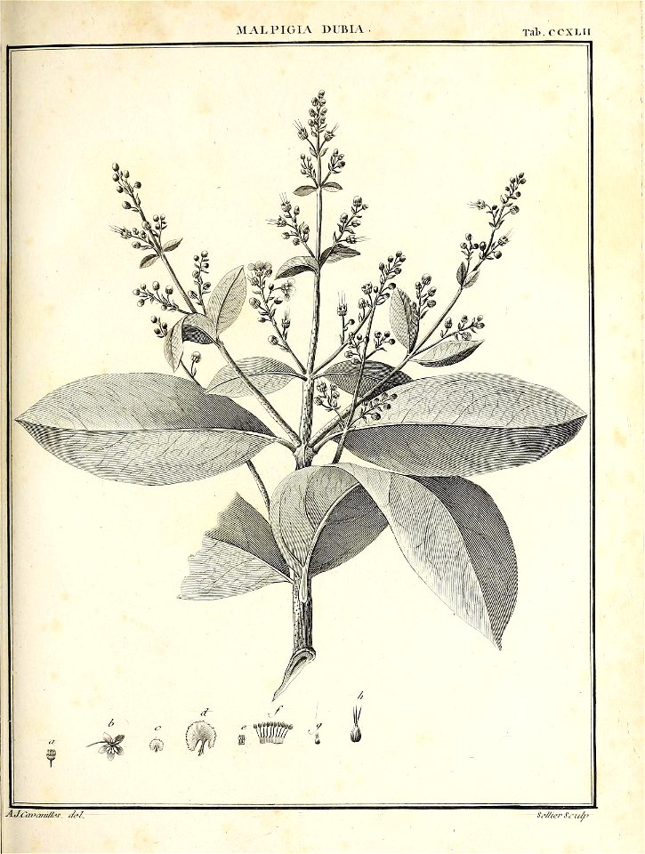n290_w1150