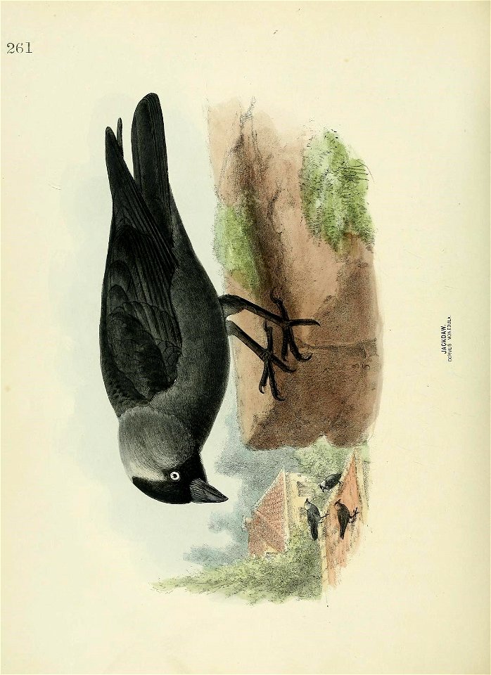 n697_w1150