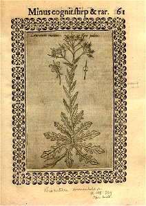 n502_w1150