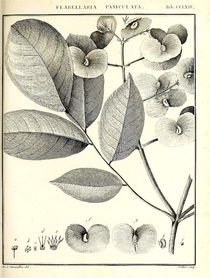 n358_w1150