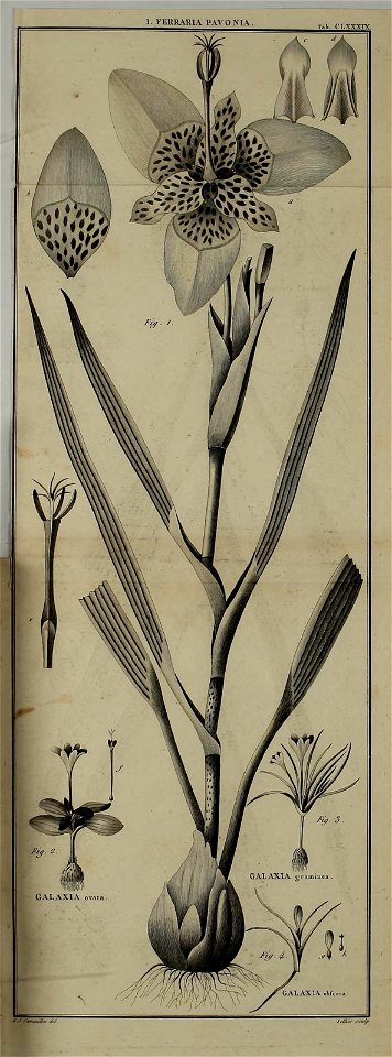 n120_w1150