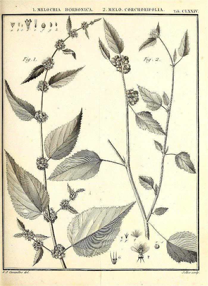 n90_w1150