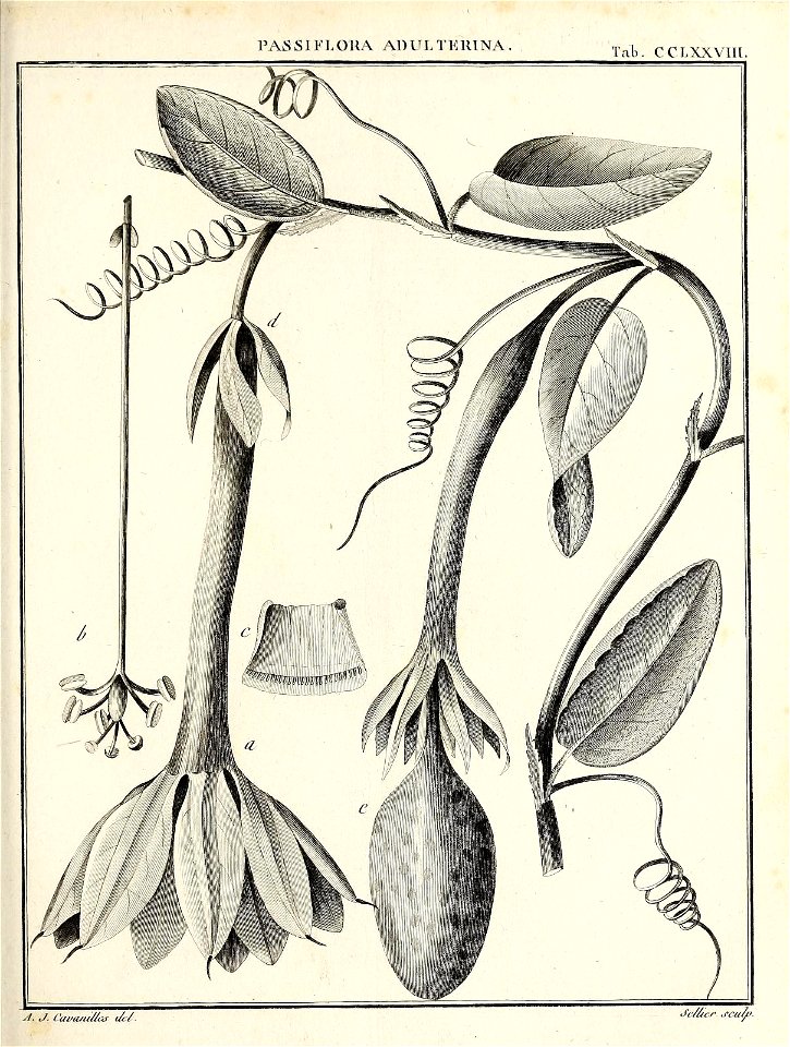 n414_w1150