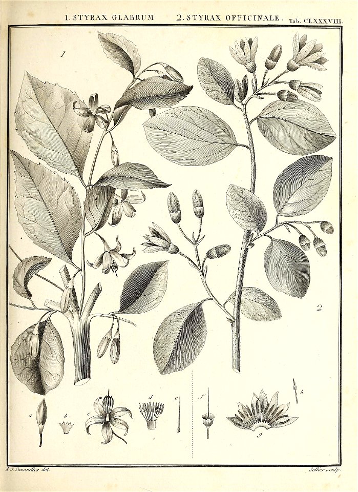 n118_w1150