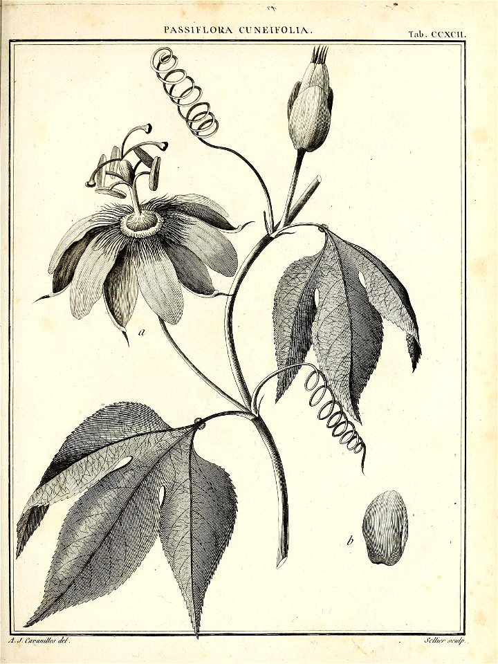 n442_w1150