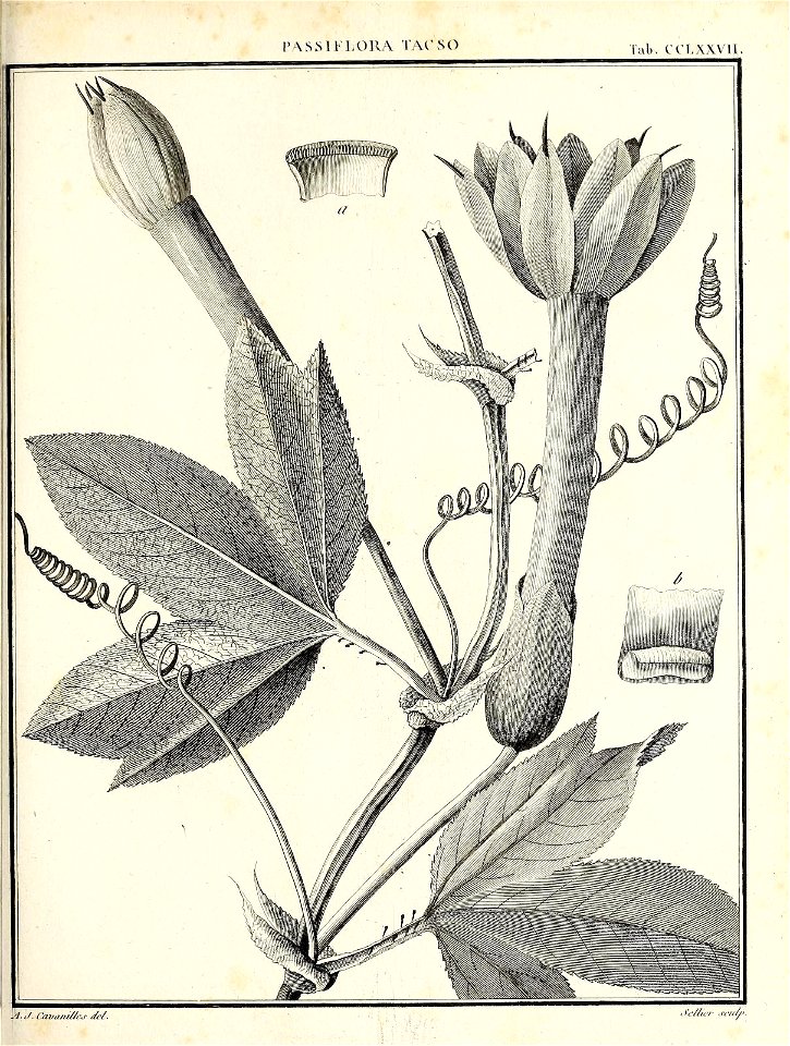 n412_w1150