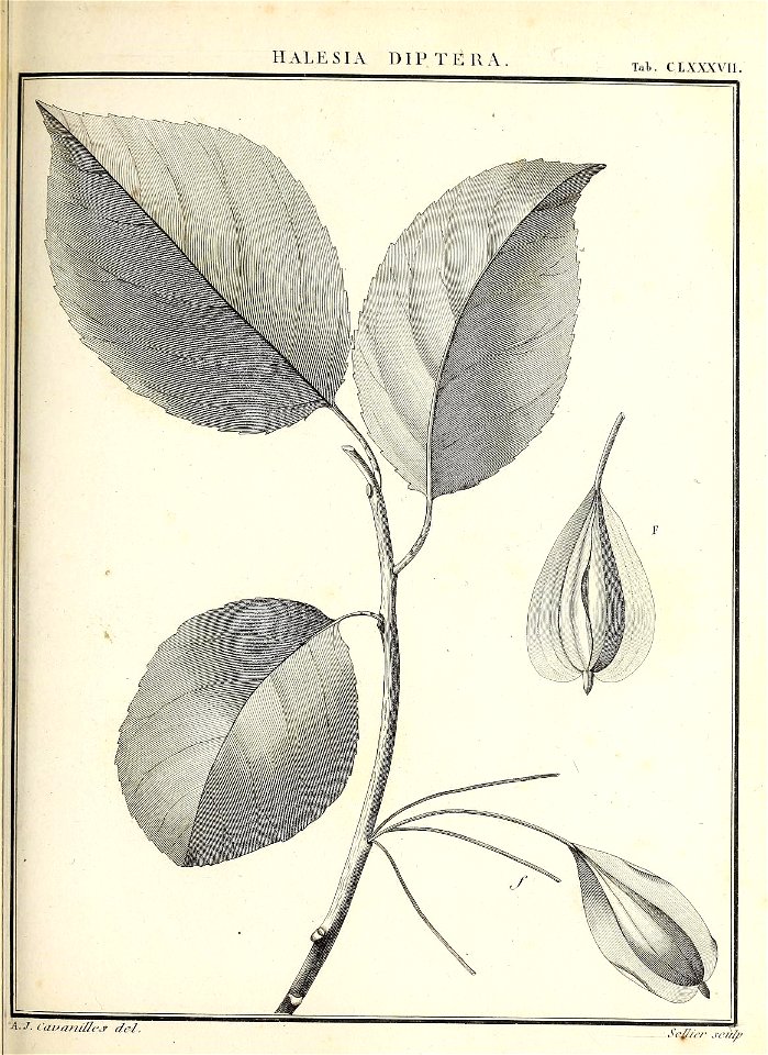 n116_w1150