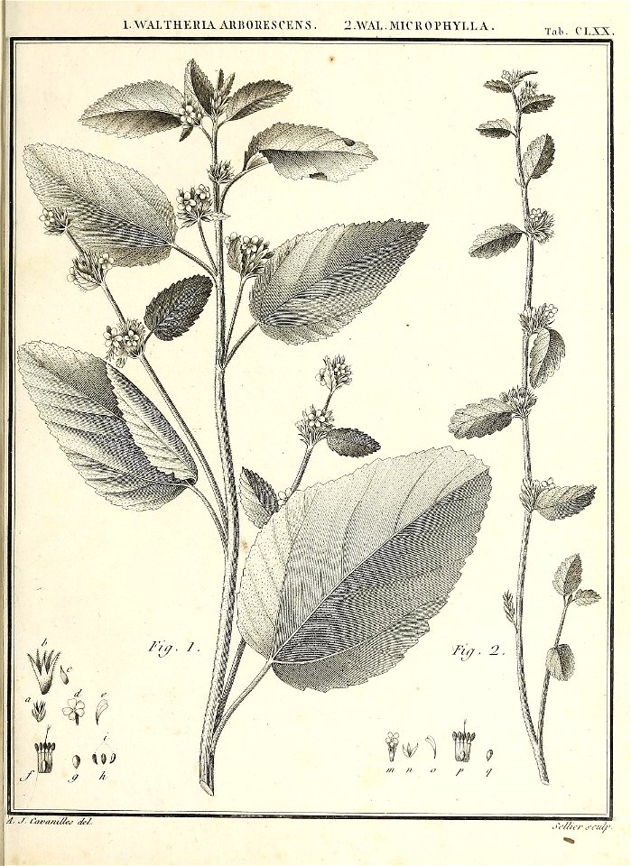 n82_w1150